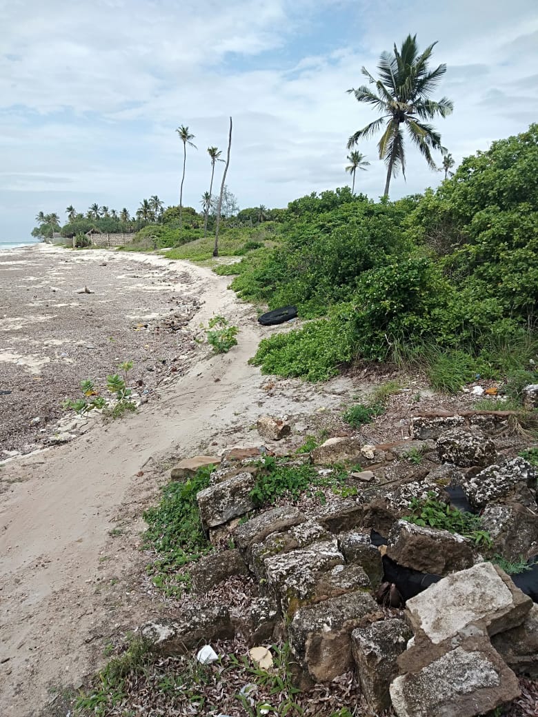 WhatsApp Image 2022-05-05 at 4.09.02 PM 1.jpeg